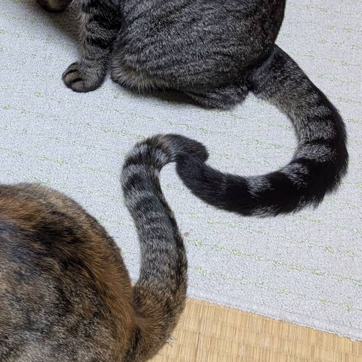 F6acb353 90c3 4f9f 9954 3741b417699a 1761095290769