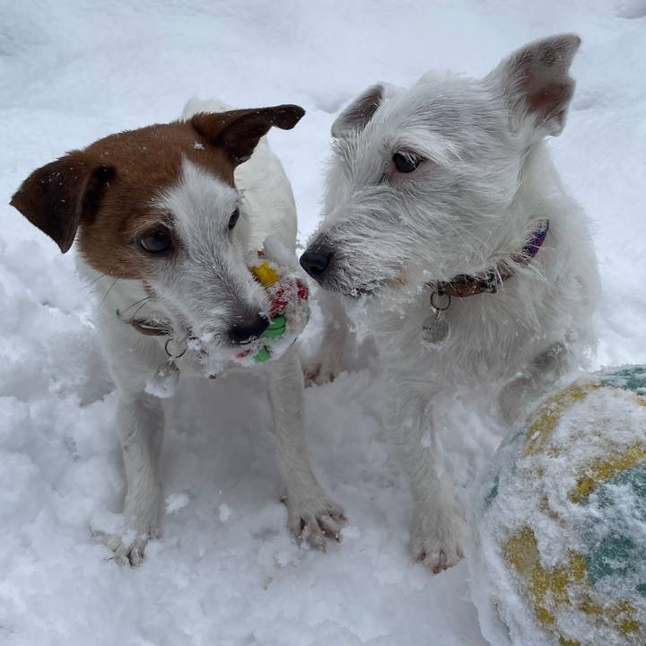 F6acd30e fec9 4be5 9f57 e18065e24dd8 1770513092012