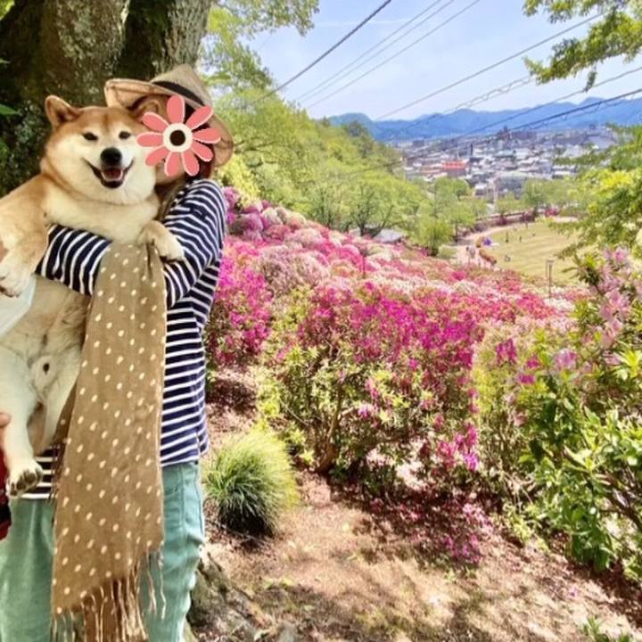 F6aceb47 0b64 42b0 a0a9 a706b2235232 1620229431071