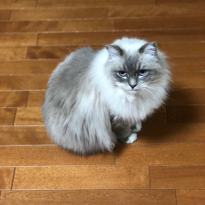 F6ad09d1 b164 40e0 9ec8 c199a2a06140 1545219355463