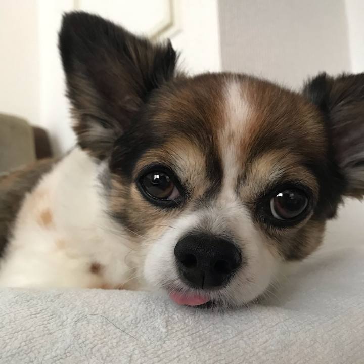 F6ad40f0 8c01 48ee a4c8 596fe23932d5 1688695450420