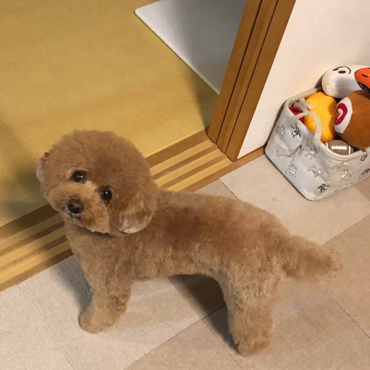 F6ad553b e3a0 4016 aed1 514b233e8d57 1609162573394