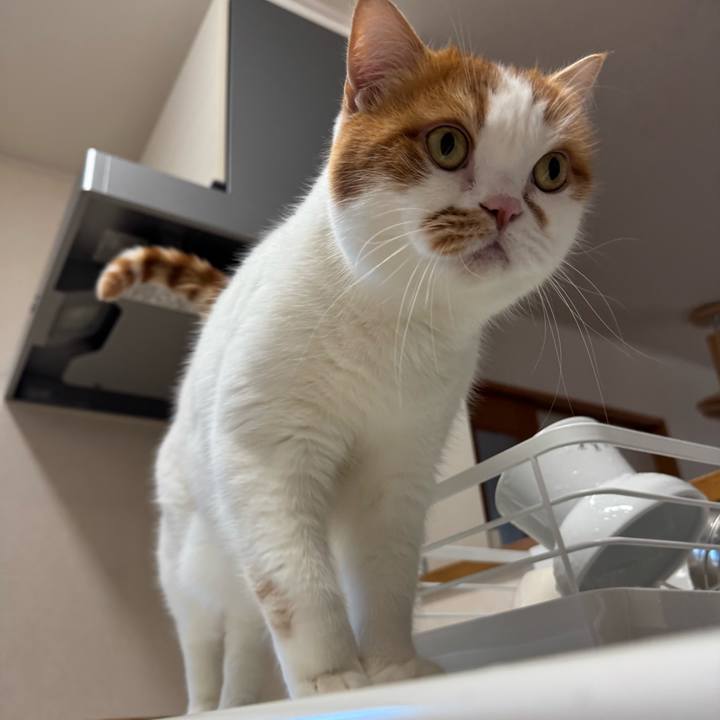 F6ad723a 86b6 4b7b af34 234731988982 1766371075667