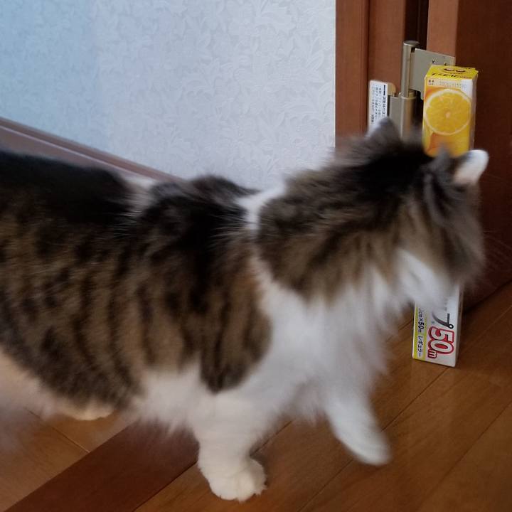 F6adc8d1 9b01 4a4e 9511 1318f25232a4 1585004406398