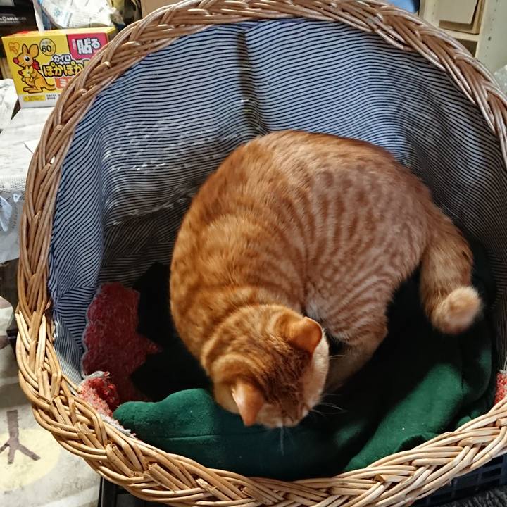 F6add2d6 5285 4b13 9258 715385659481 1640931487527