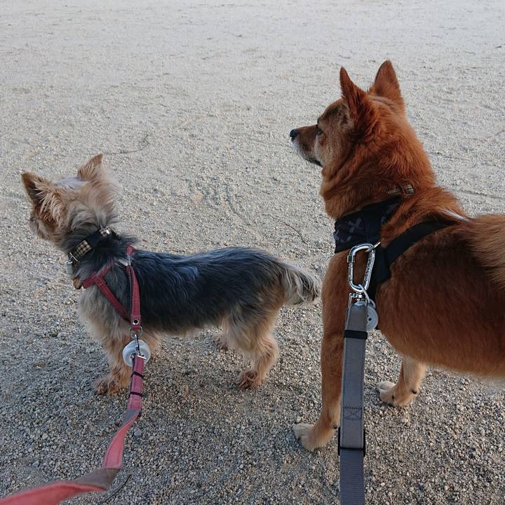 F6ae3fbc bb24 4d19 9399 7d685e90f0d4 1561462599915