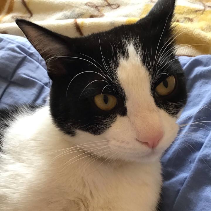 F6ae8d84 f3b2 4859 aed5 682457c18635 1651817220564