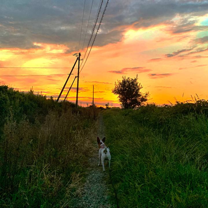 F6aef5a5 fb2d 4715 bed0 2d3f414603a4 1568112184177