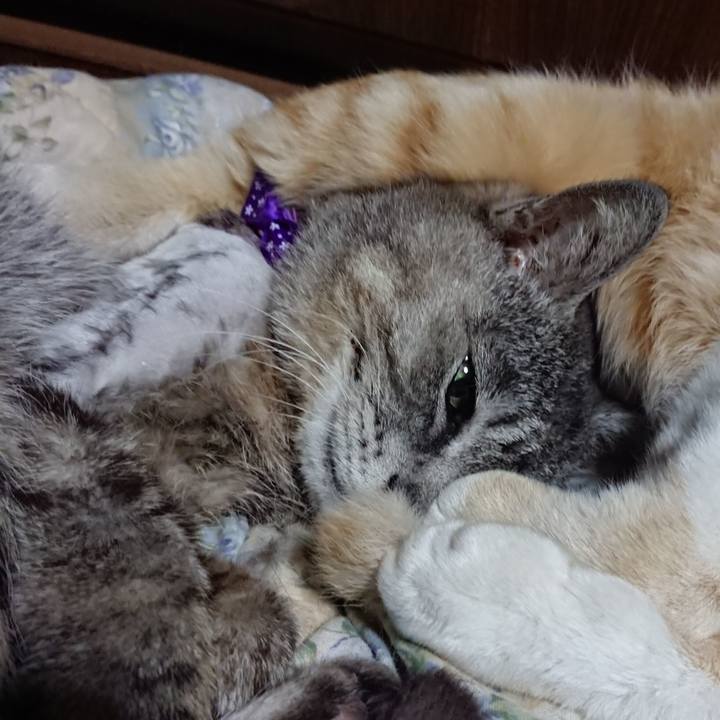 F6aef6bb 2833 491e 85f0 085abccecc48 1589631288933