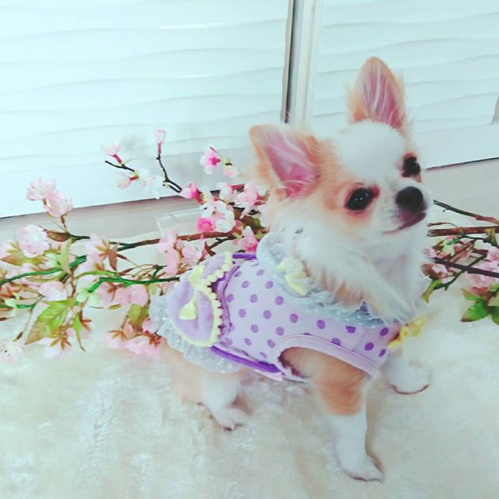 F6af0e92 bff4 4e9b bbef d2fa8531e747 1521530895502