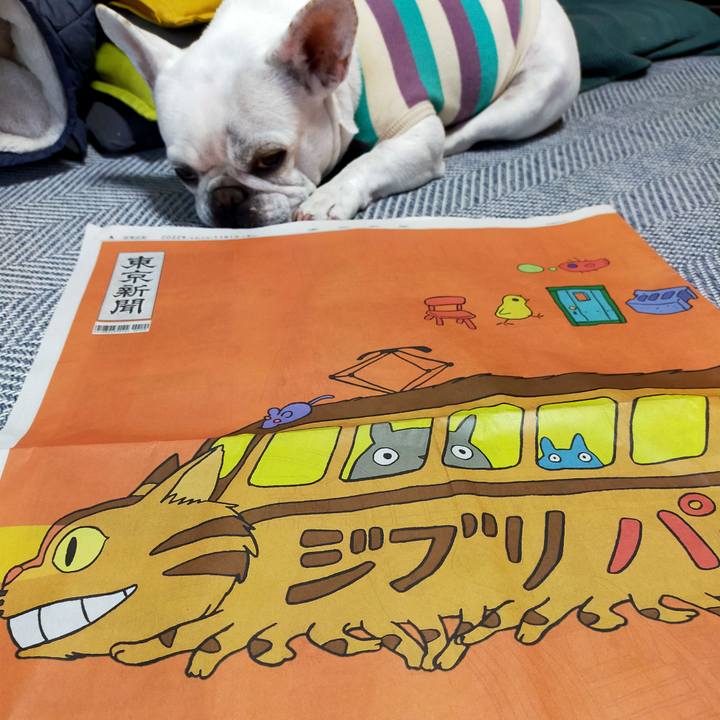 F6af1235 6704 47ca 8881 ba5ce9c2af7e 1667254163168