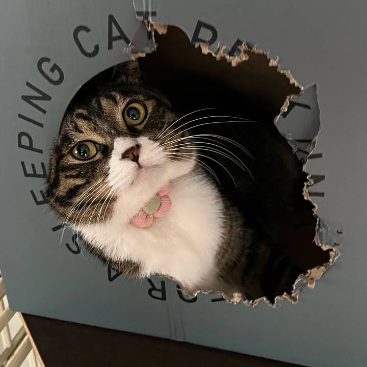 F6af22d7 cd68 4fa0 9c3d 648431f8bdf4 1731023133117