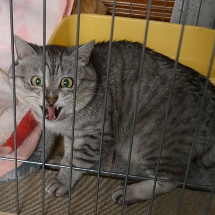 F6af266e 4db6 4033 937c 24c7f536ec9a 1724313014147