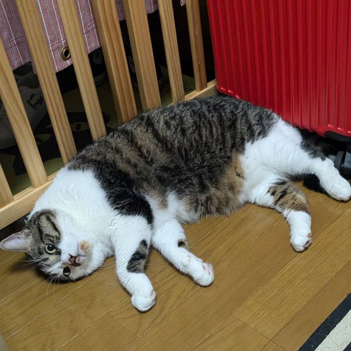 F6af525f aea2 4661 809f b7c6718f1588 1724509210207