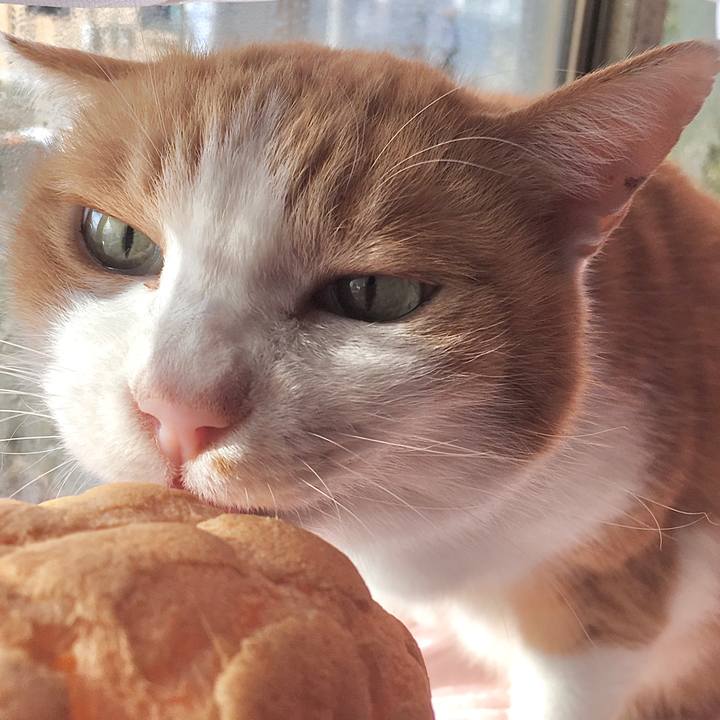 F6af615b 3b72 4a92 b5f5 bfb59cf81126 1585820188127