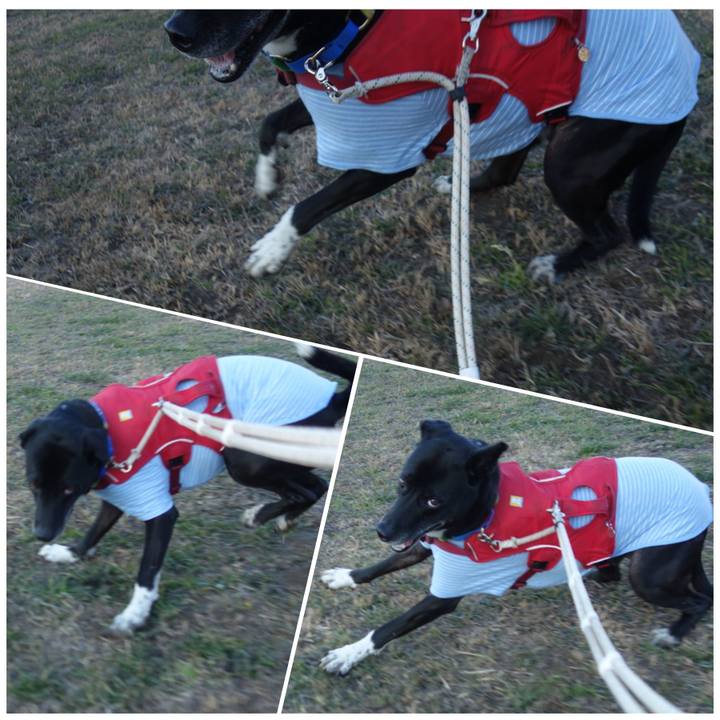 F6af6e8d afd5 43bc a954 0f57d06d7a15 1673052610039