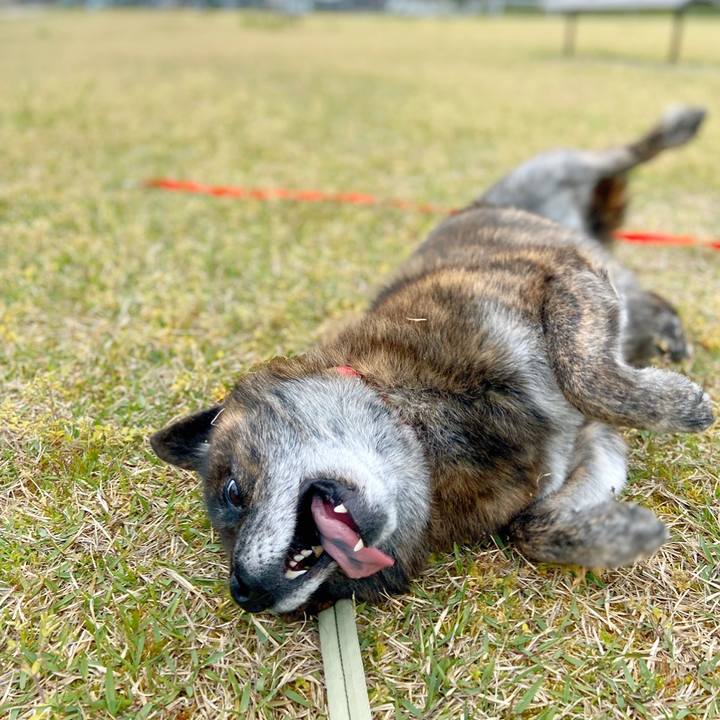 F6afb009 09ba 4cb4 b526 b14c82353765 1589002701405