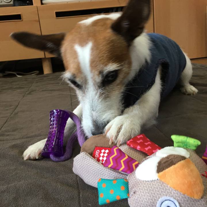 F6afefa0 7dee 484b 8d5d b64a2da4fa37 1579751558275