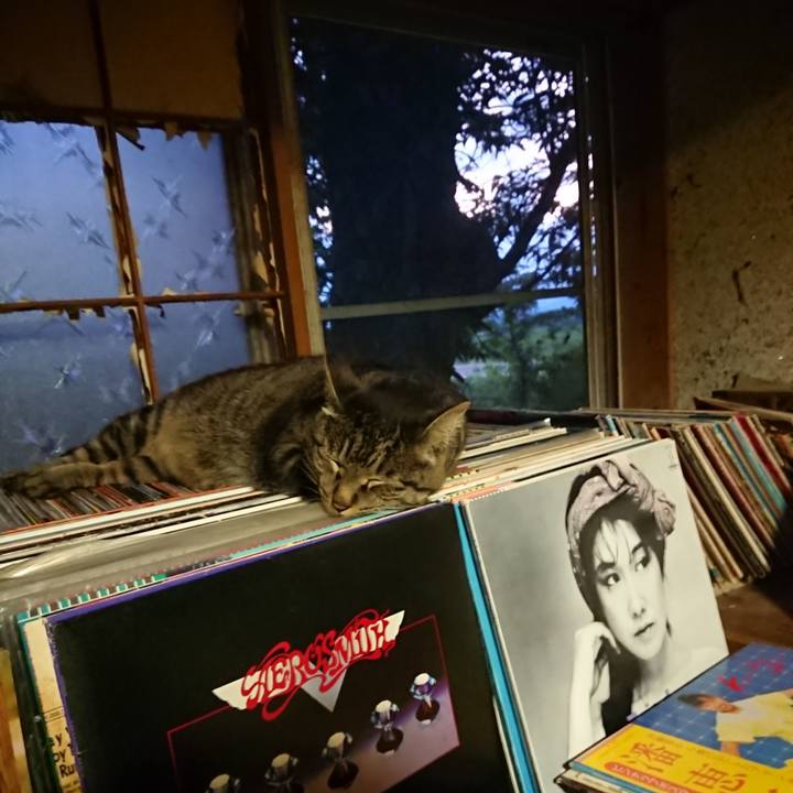 F6aff94a e036 4935 bc29 9944a1179c6a 1656936196063