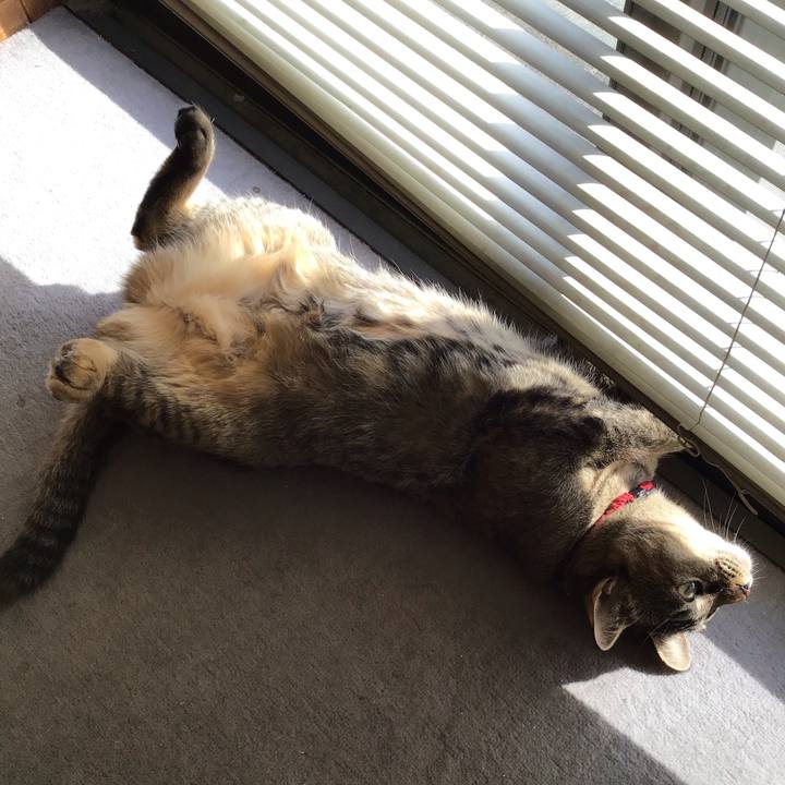 F6b00030 90a9 4512 a31a 2f7516ce8525 1581049167901