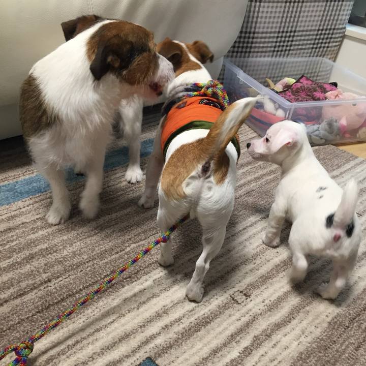 F6b03fd1 d26c 4b2b 9e12 b7eda51994f6 1705487606996