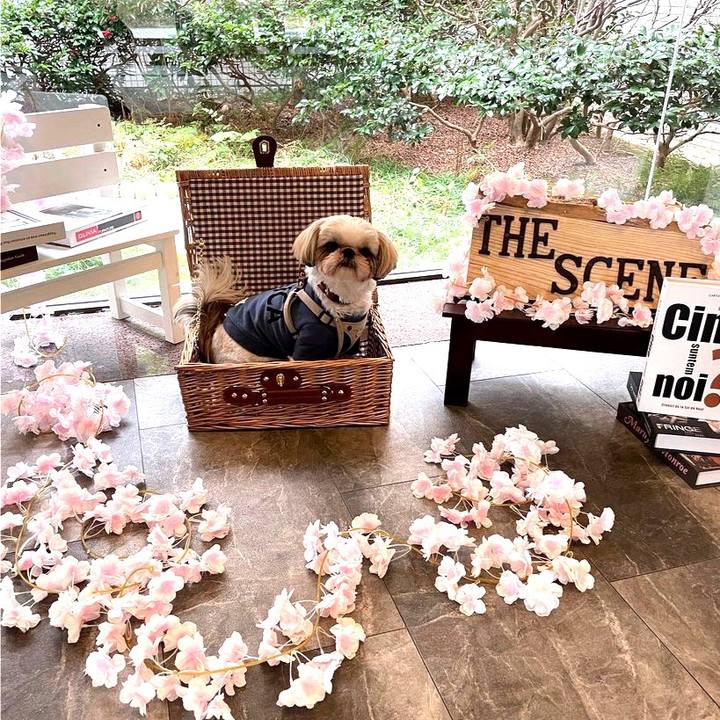 F6b06176 859c 499d 8c4c e4706ccdd488 1644808765264