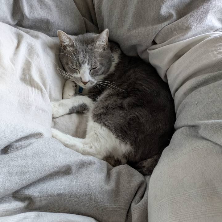 F6b08fb6 b132 4b1e 83a3 242667204d21 1762305667775