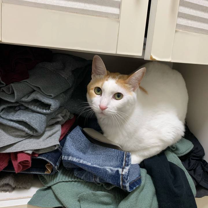 F6b0ab7e 7b40 45cf 825d 5f165381f9d7 1614596995203