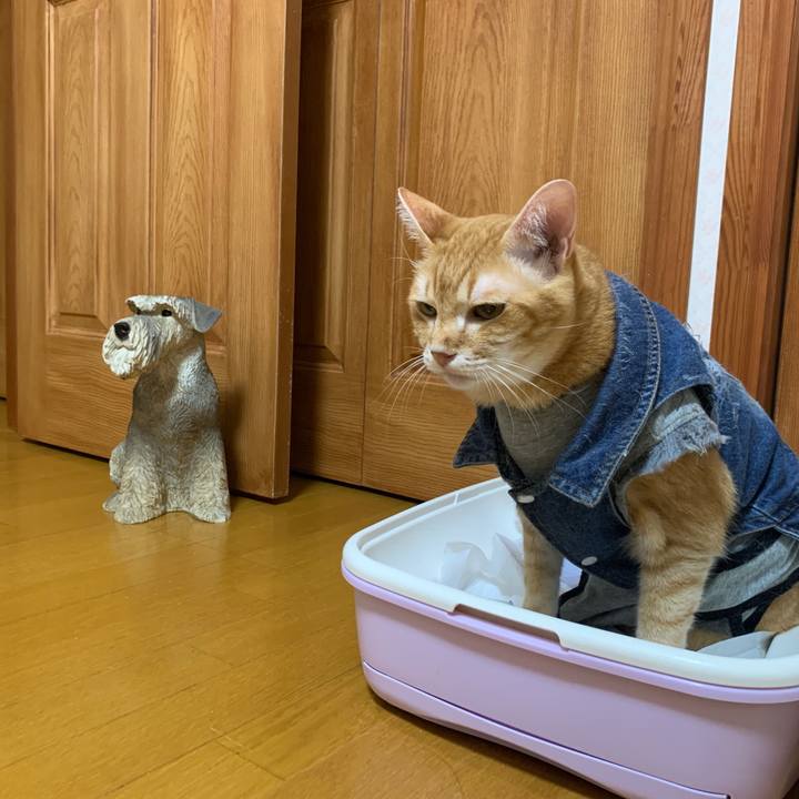 F6b0d94b fa82 4b4f ac1b 63caeb2794f4 1656416847293