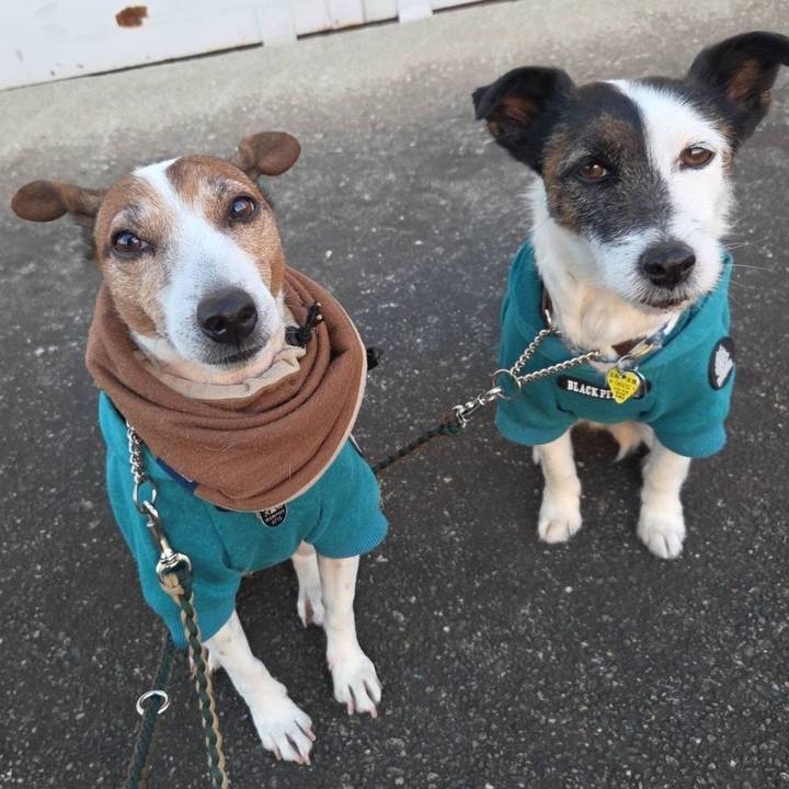 F6b0f6c0 55f5 445f ae3f be286753b4be 1769813759190