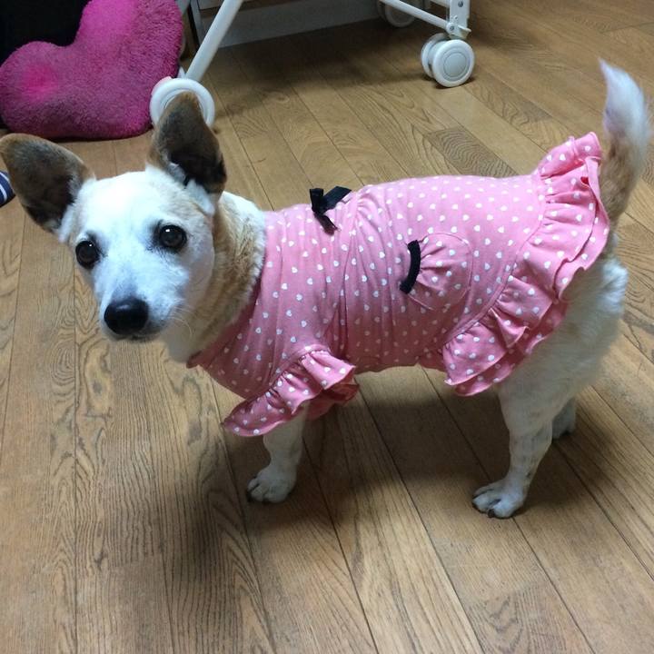 F6b1009e 7c1c 4a17 8ab4 0e243a10090a 1541155009931