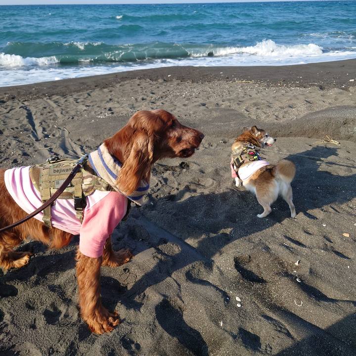 F6b1485d 1454 4bd2 959c 7406a4d49d3d 1637582523733