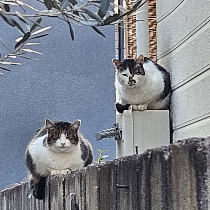 F6b14a8f b42c 4295 8b3c 0ef49f720331 1735222503415