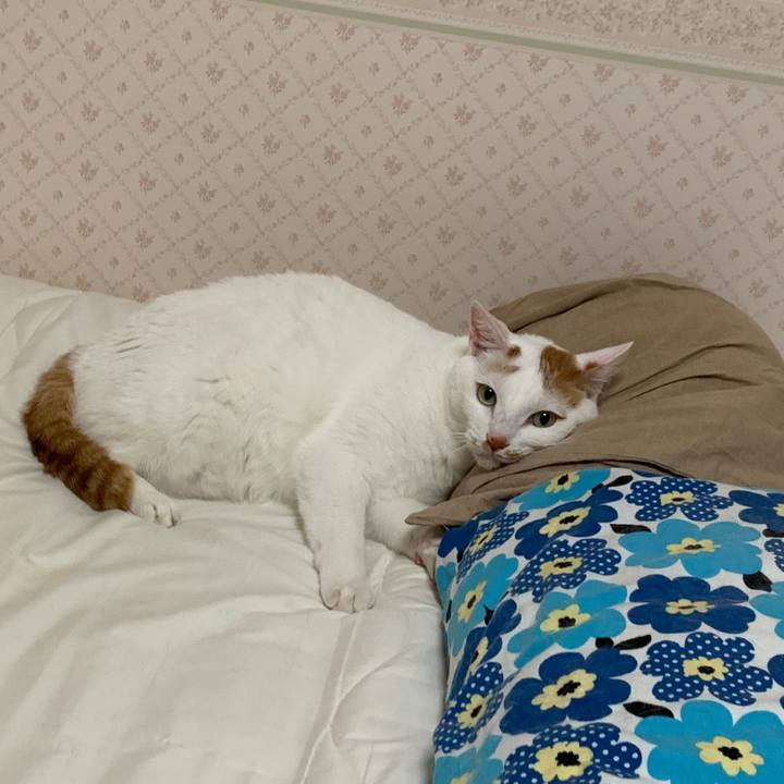 F6b15519 0edd 4bc2 a0a8 849836762672 1655675633772