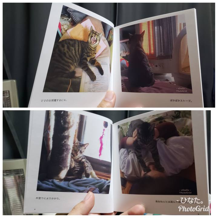 F6b15c97 fd30 490a b7f2 f0b911b94535 1548494613661