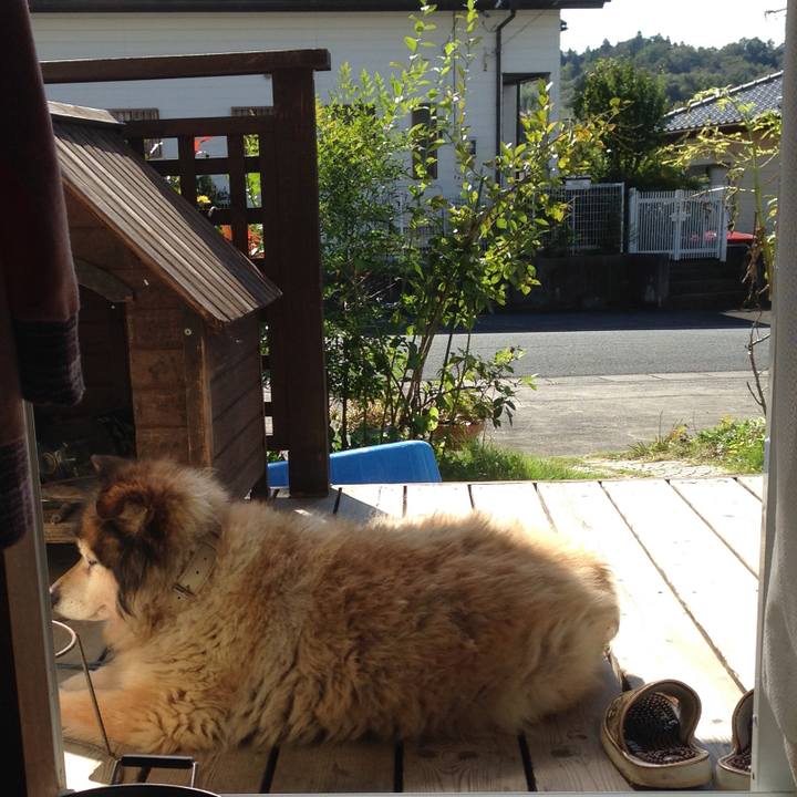 F6b221d2 5a52 4f00 9e5f efc0f8c4ffeb 1559614834900