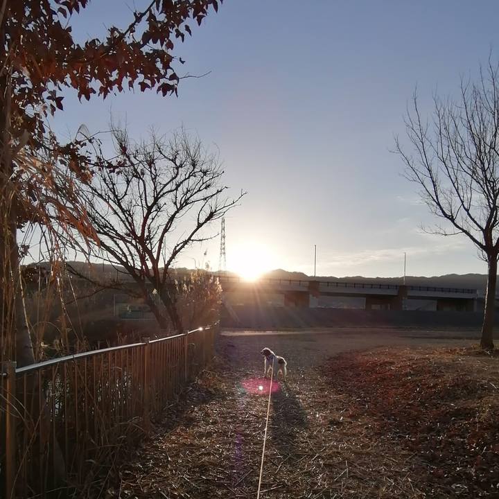 F6b22ce8 3313 443c 90c8 825682f0be94 1613434710253