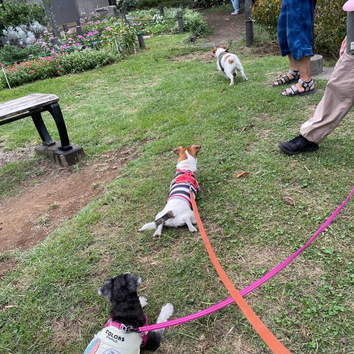 F6b26415 1c7c 43a2 8495 678b093277f2 1696057883868