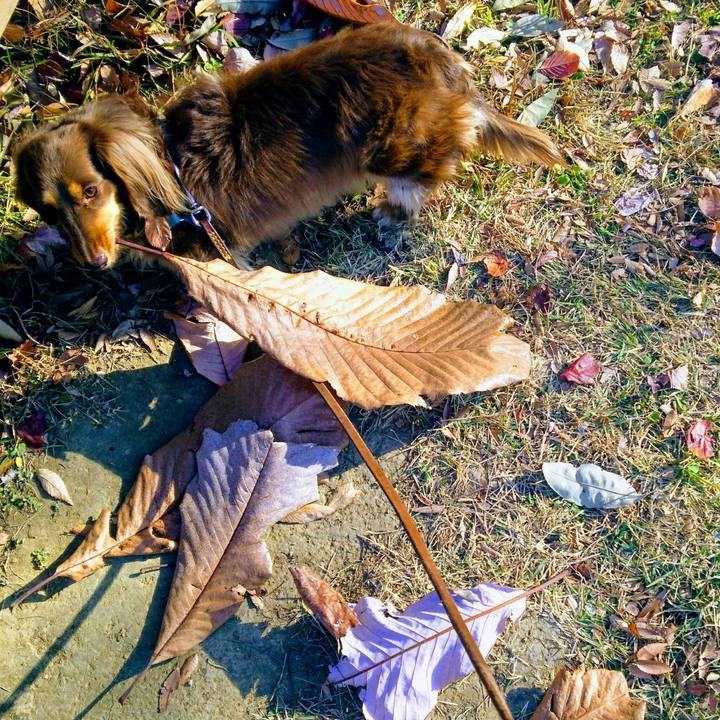 F6b269be a859 4b1c ad15 9c17a001ee7a 1543110352871