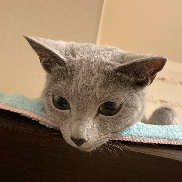 F6b29871 7448 4092 964e dd7d599f42f5 1650843957424