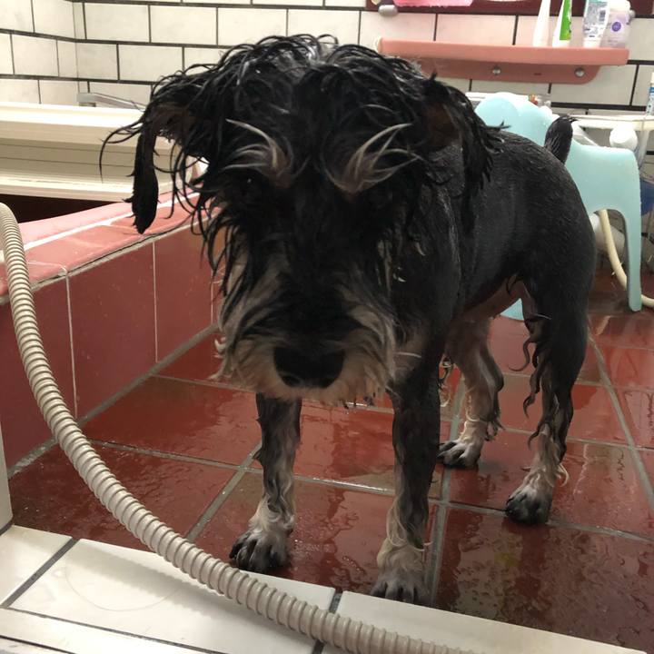 F6b2ab39 78d4 4bc0 8498 1a1679c46662 1641705922225