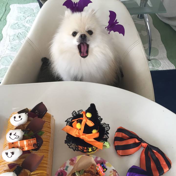 F6b2ba49 bce3 4983 baa6 9f4dd039798b 1539311665191