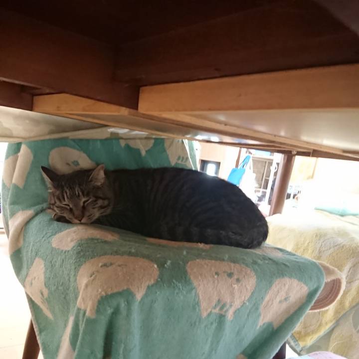 F6b2c693 77ab 44cb a299 299cc5810ee4 1655069805421