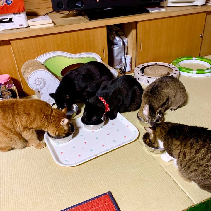 F6b2d723 d592 4ea3 b2b4 1e696c312c0f 1607691387015