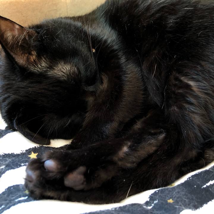 F6b2ddb8 7039 4626 ba46 2003052e7407 1628297173714