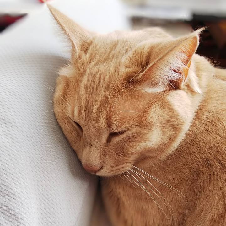 F6b33cde 92af 4d80 9b57 b40db9587ed8 1644716741369