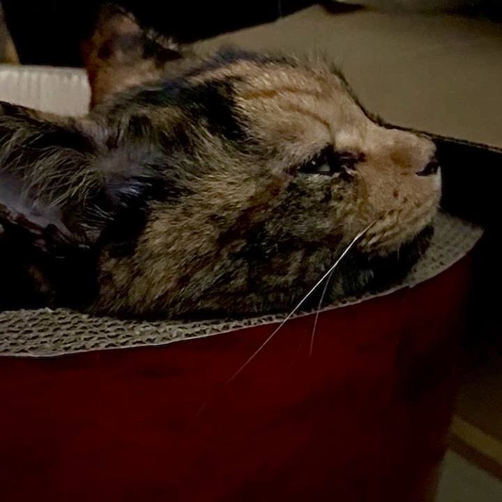 F6b34afc 7e2b 4aa4 a38b 9a690e9b2028 1759178107107