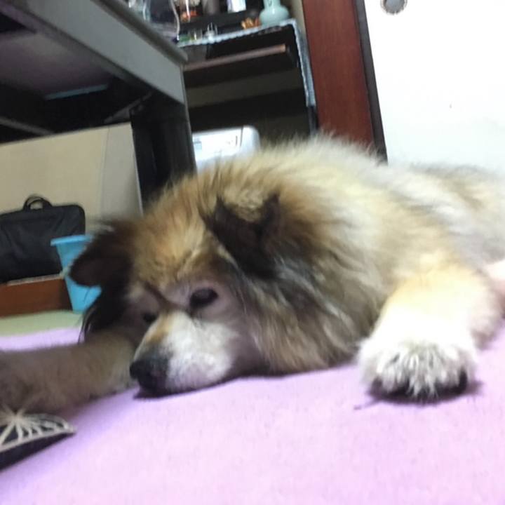 F6b37f40 20c0 4060 a93e 84d7d529c996 1638641281673