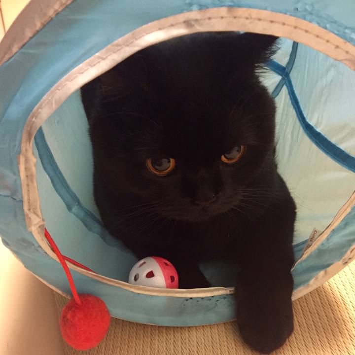 F6b37f8f 9f4c 4d69 b753 806a1407f946 1515159700766