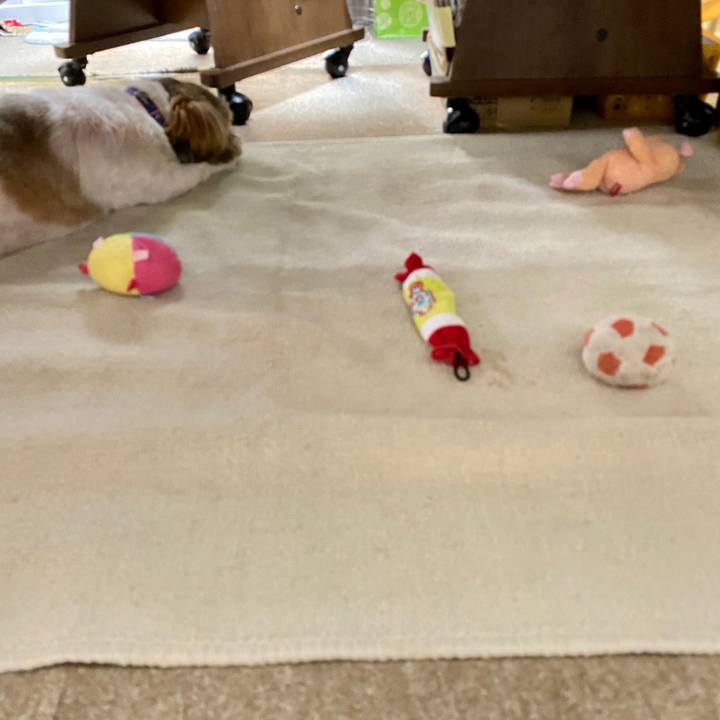 F6b39155 7349 4ddc a649 cc038abe91c9 1596326810268